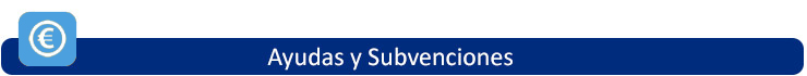Ayudas y Subvenciones